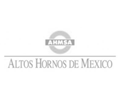 AHMSA - Altos Hornos De Mexico S.A.B. DE C.V.